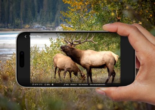 Camovue Talon Pro 4K 4G LTE Vadkamera Élőképpel, Lítium Akkumulátorral és Napelemmel