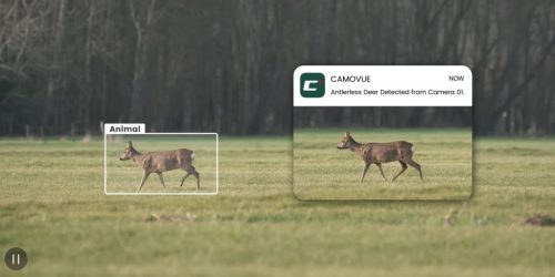 Camovue Talon Pro 4K 4G LTE Vadkamera Élőképpel, Lítium Akkumulátorral és Napelemmel