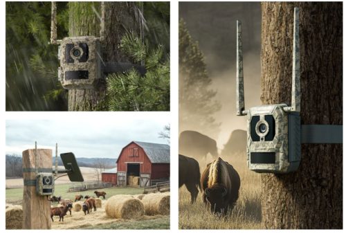 Camovue Talon Pro 4K 4G LTE Vadkamera Élőképpel, Lítium Akkumulátorral és Napelemmel